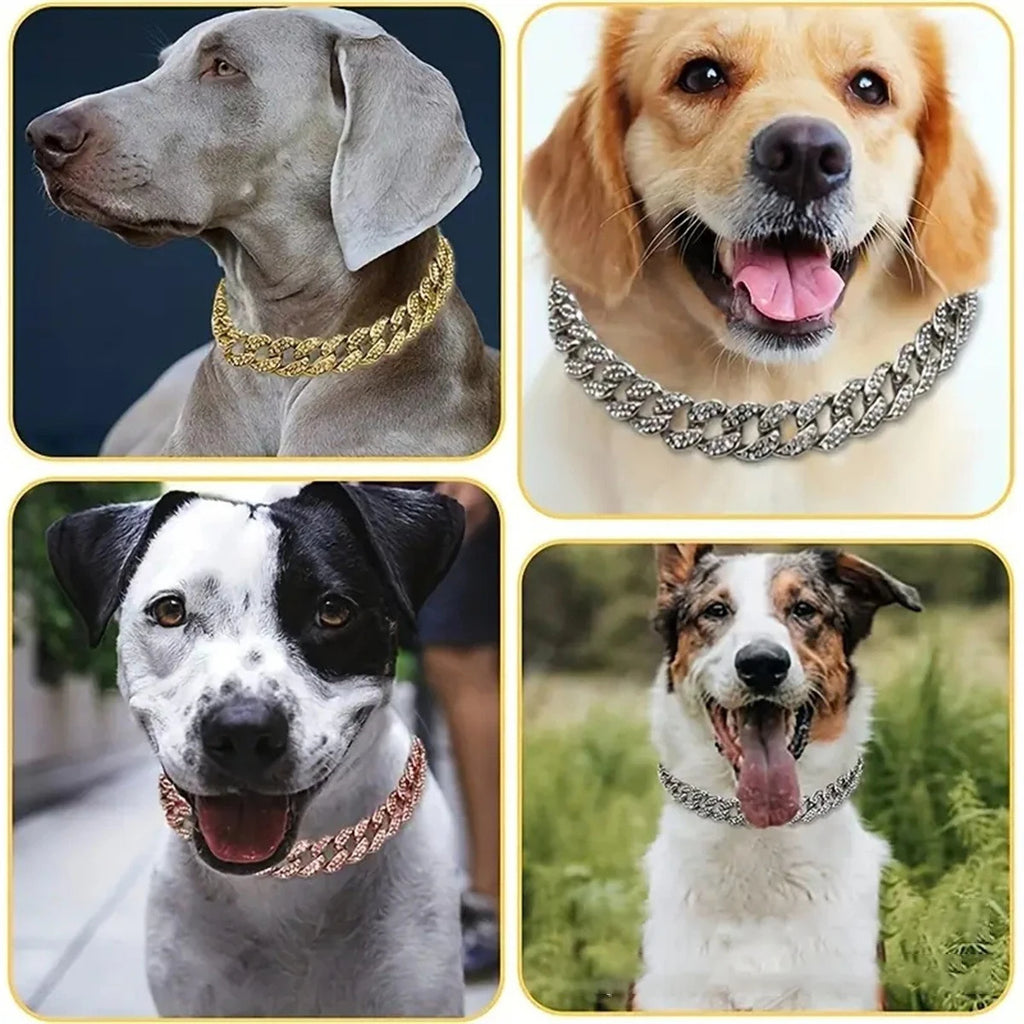 New Style Pet Collar Necklace