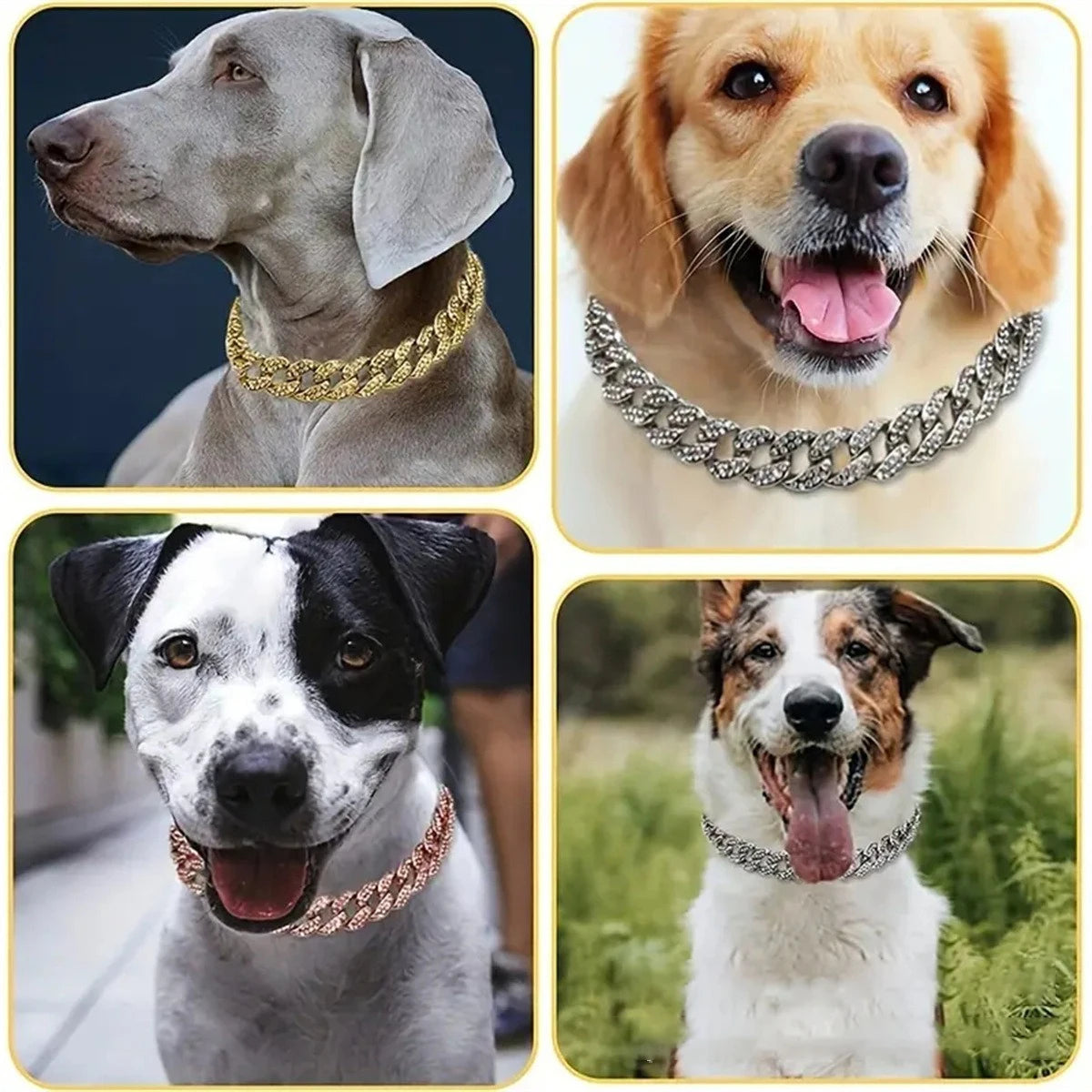 New Style Pet Collar Necklace