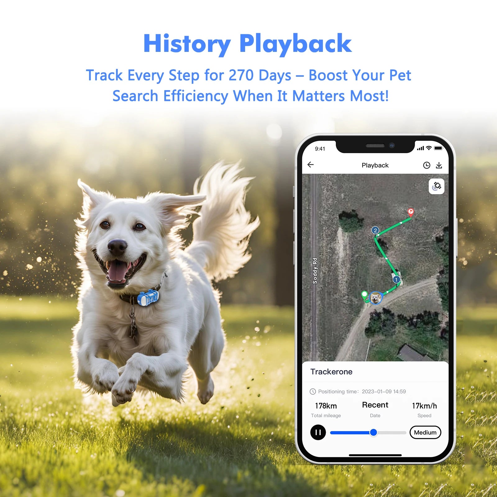 Dog Cat GPS Tracker