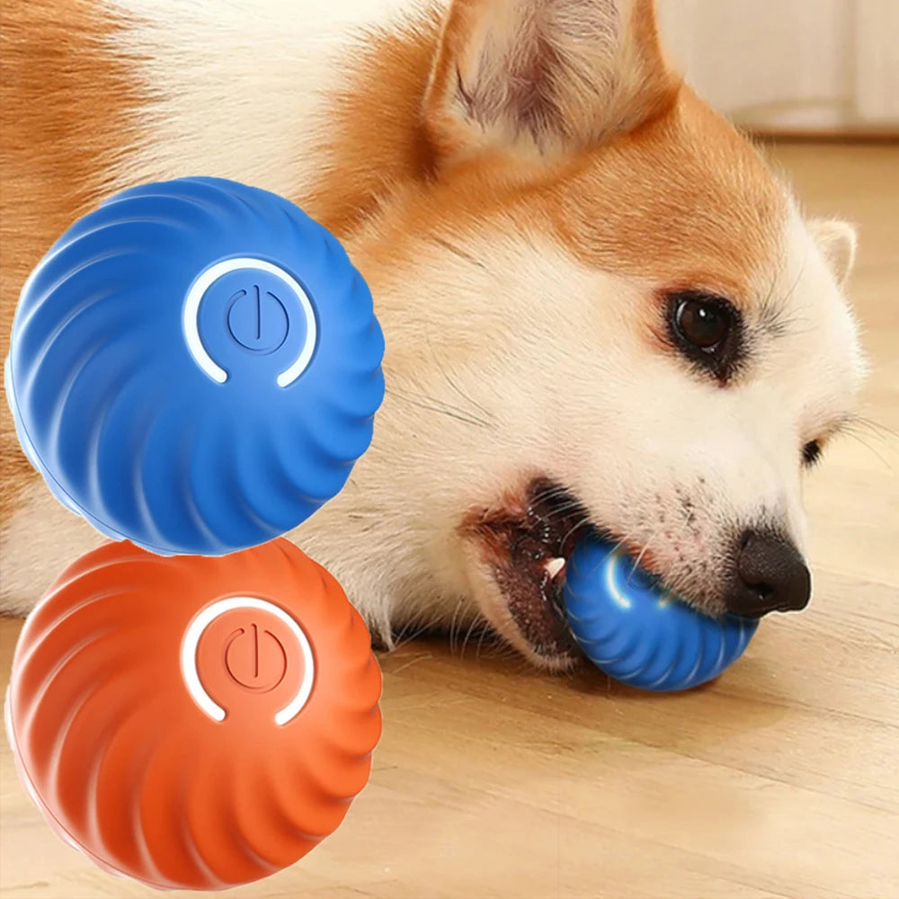 Smart Dog Toy Ball