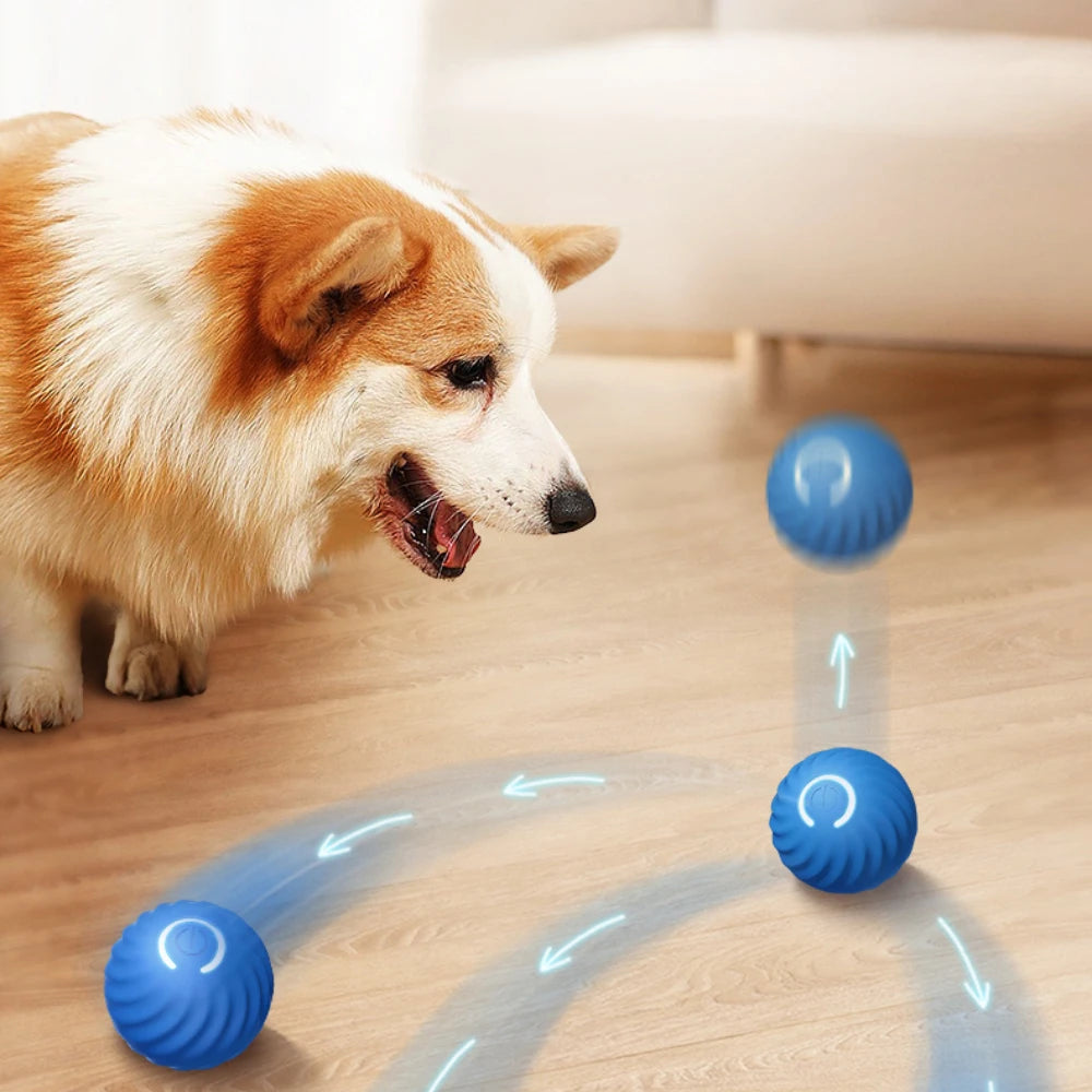 Smart Dog Toy Ball