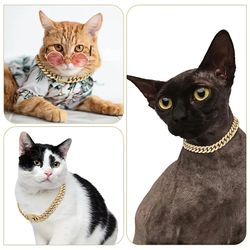 New Style Pet Collar Necklace