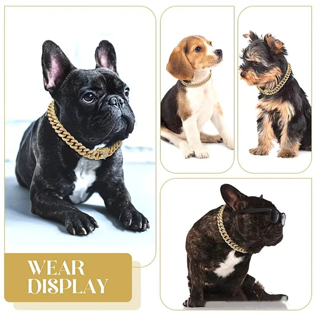 New Style Pet Collar Necklace