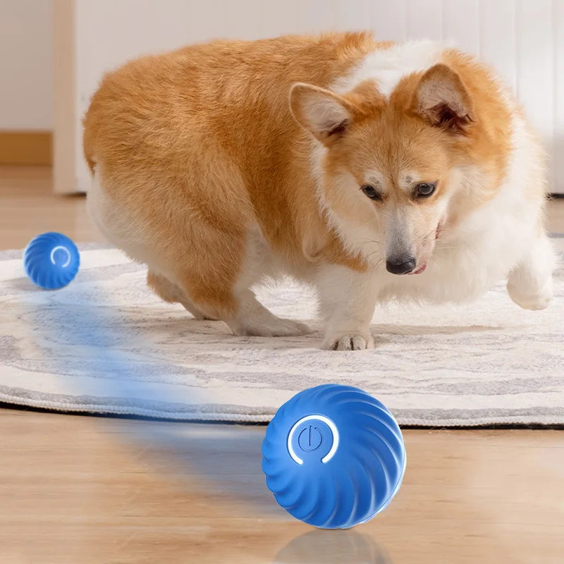 Smart Dog Toy Ball