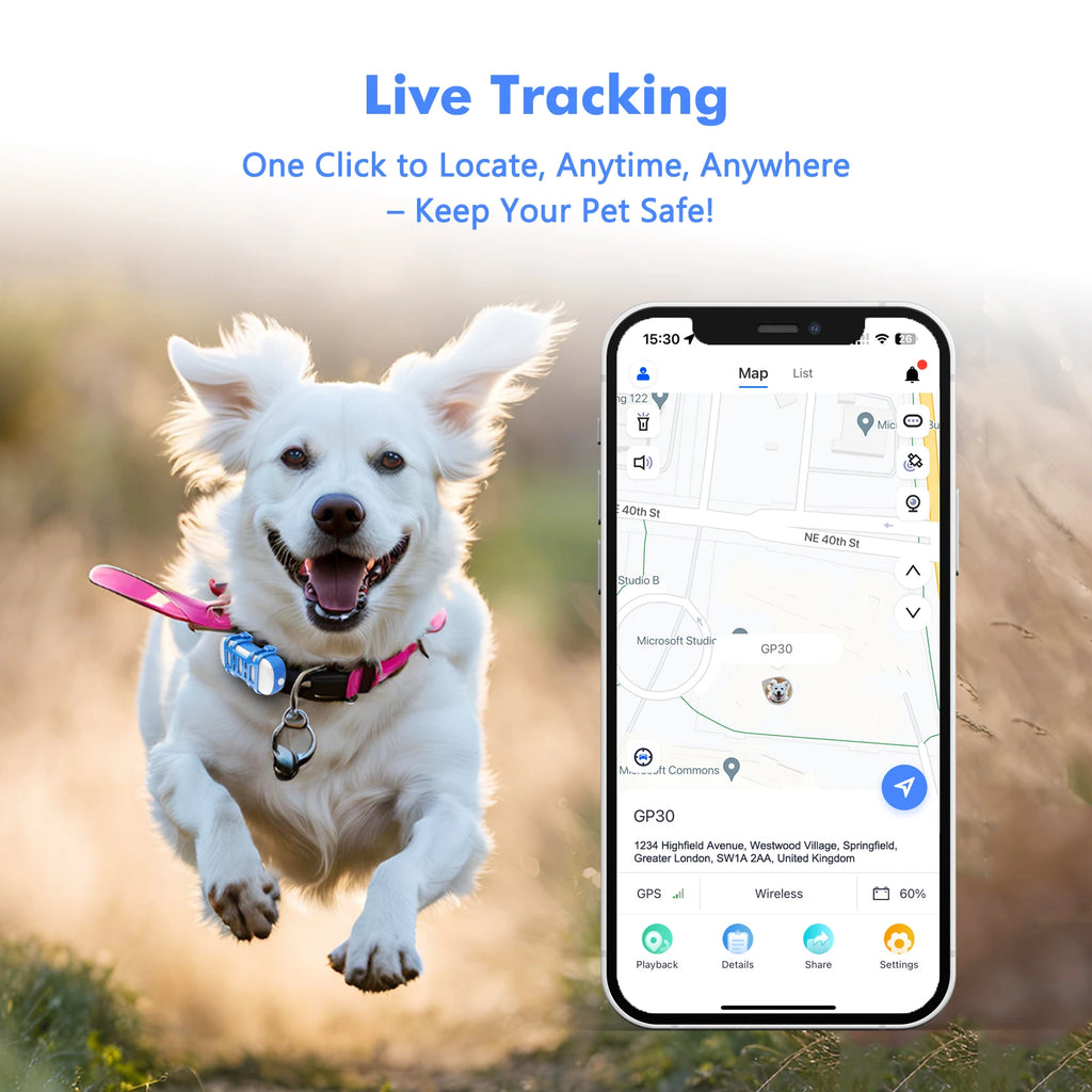 Dog Cat GPS Tracker